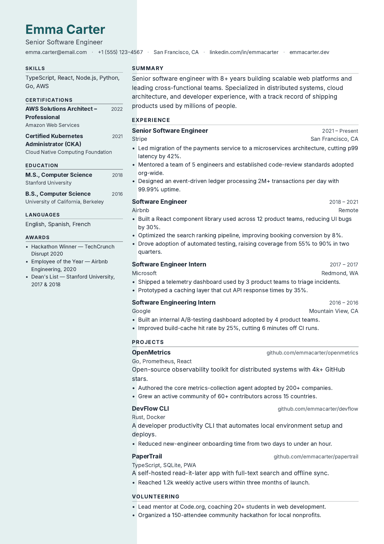 Petrol Line resume template